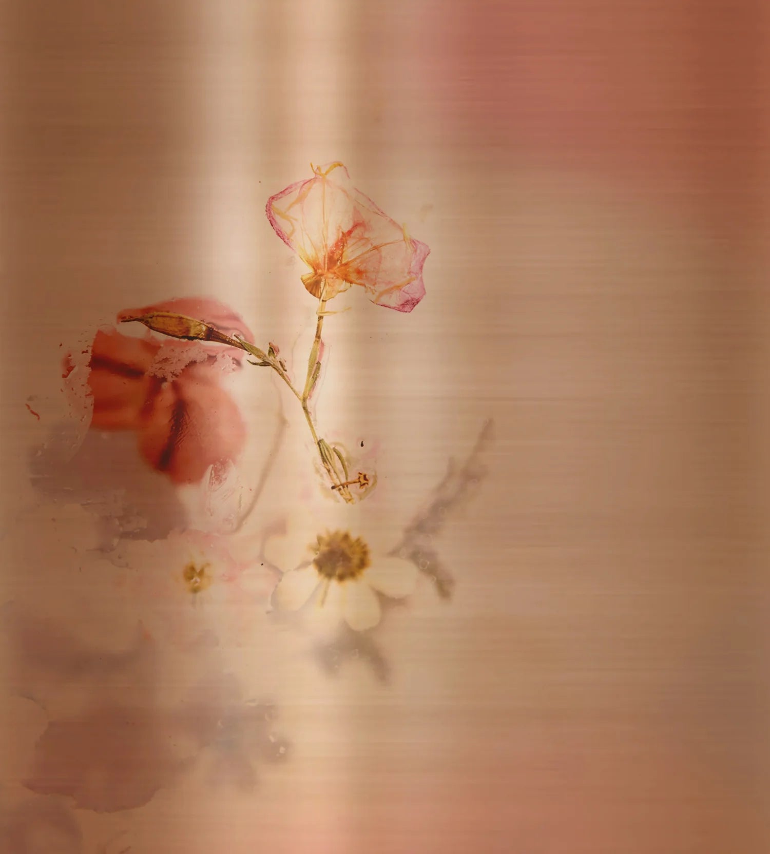 7th year anniversary - copper gifts for men