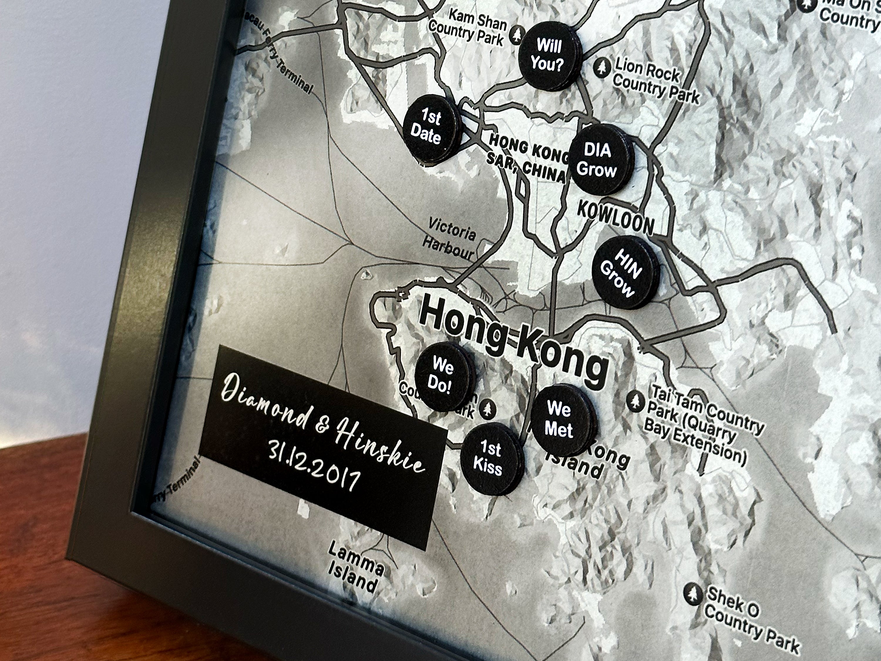 Iron Map with Custom Magnet Pins