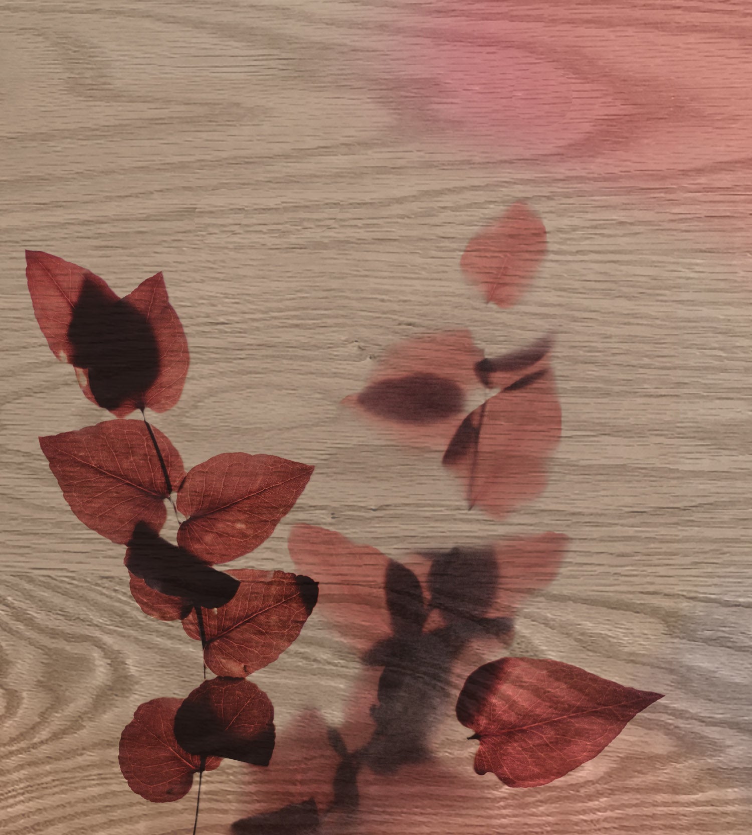 5th Anniversary Gifts - Wood