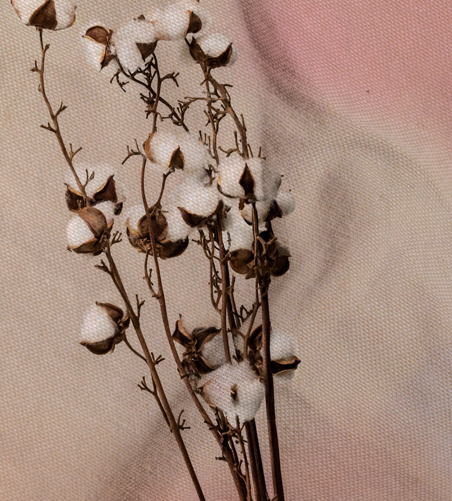2nd Anniversary Gifts - Cotton